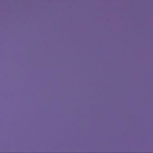 Meet your Posher, Max